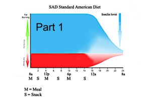 SAD diet chart Part 1 banner