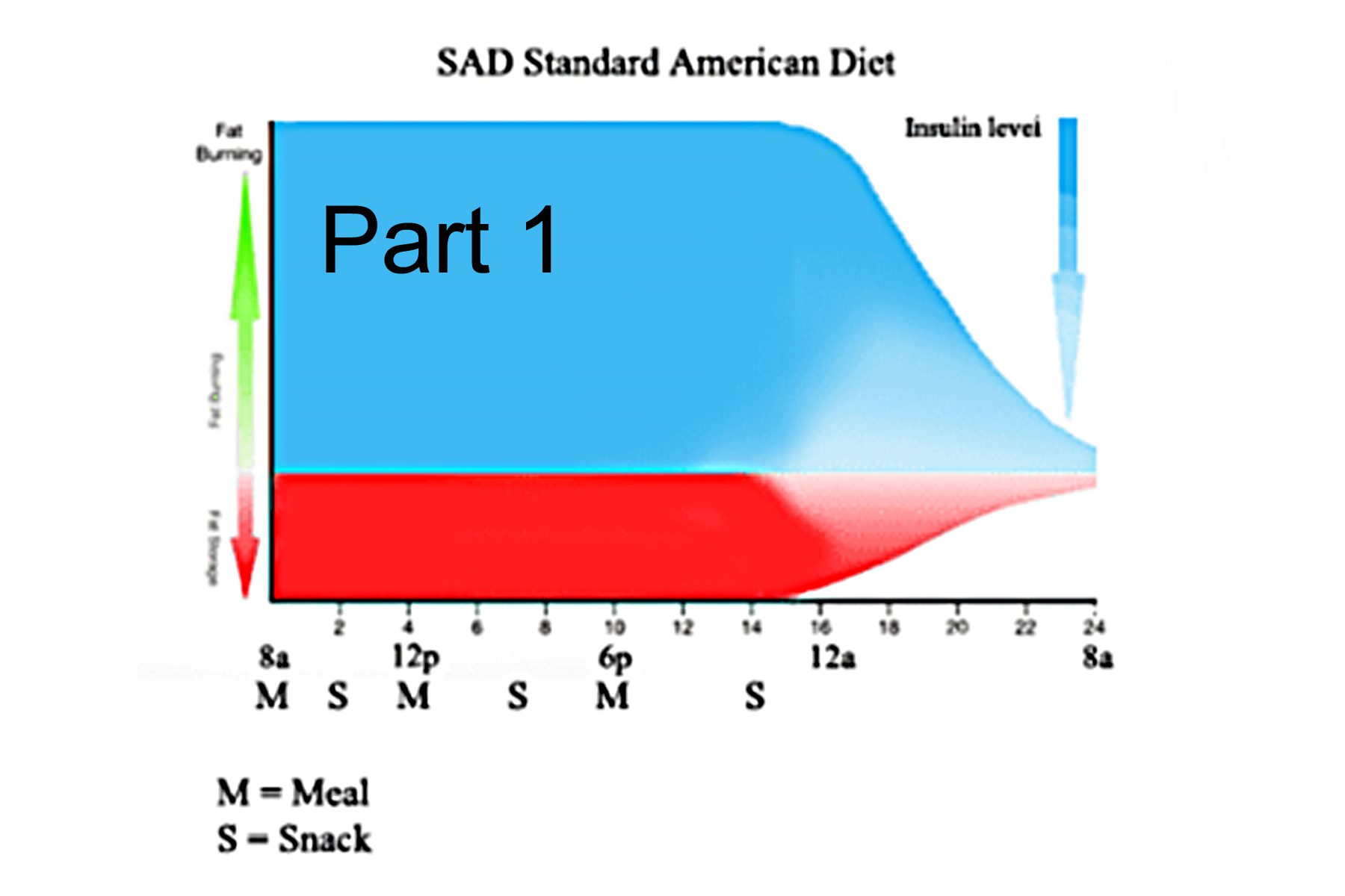 SAD diet chart Part 1 banner