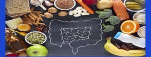 the gut microbiome banner 4x1 5