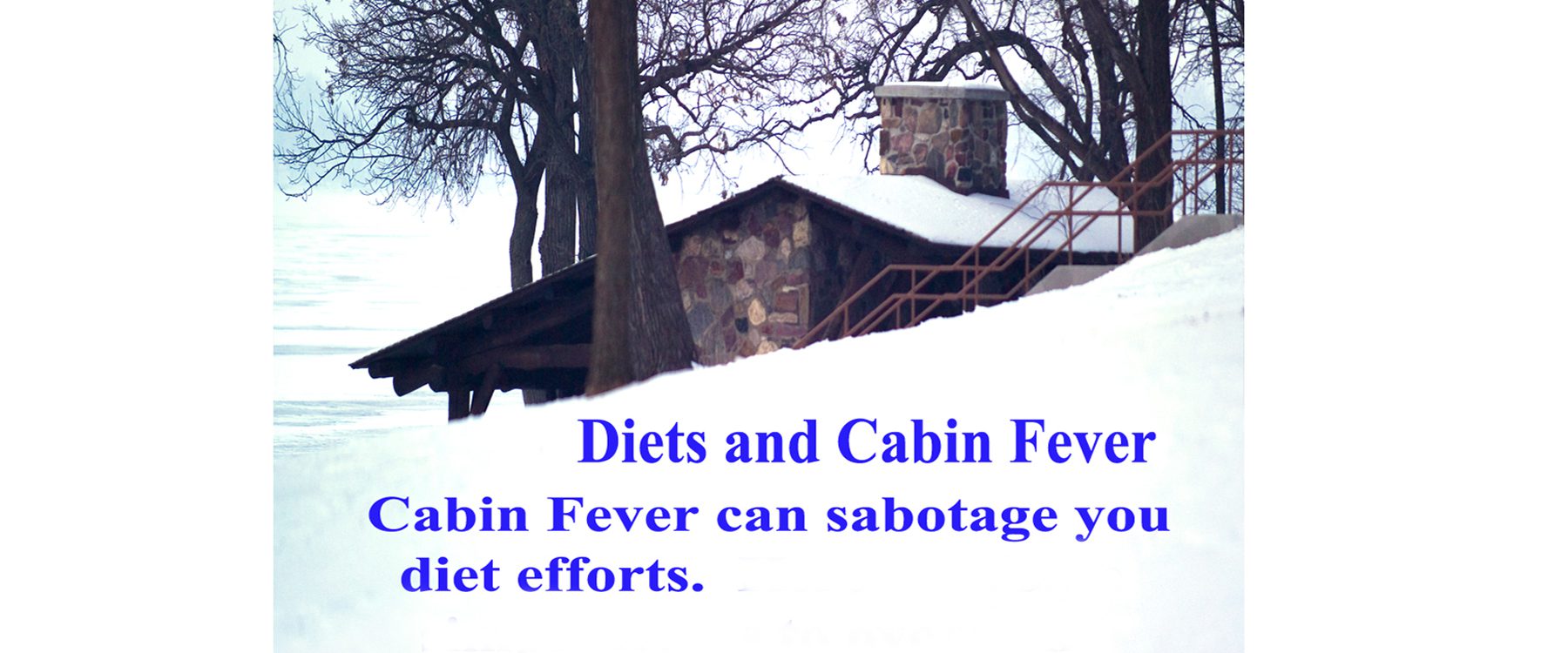 Diets and cabin fever ed 1 banner