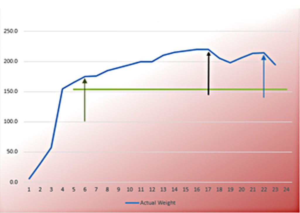 Lifetime weight graph only